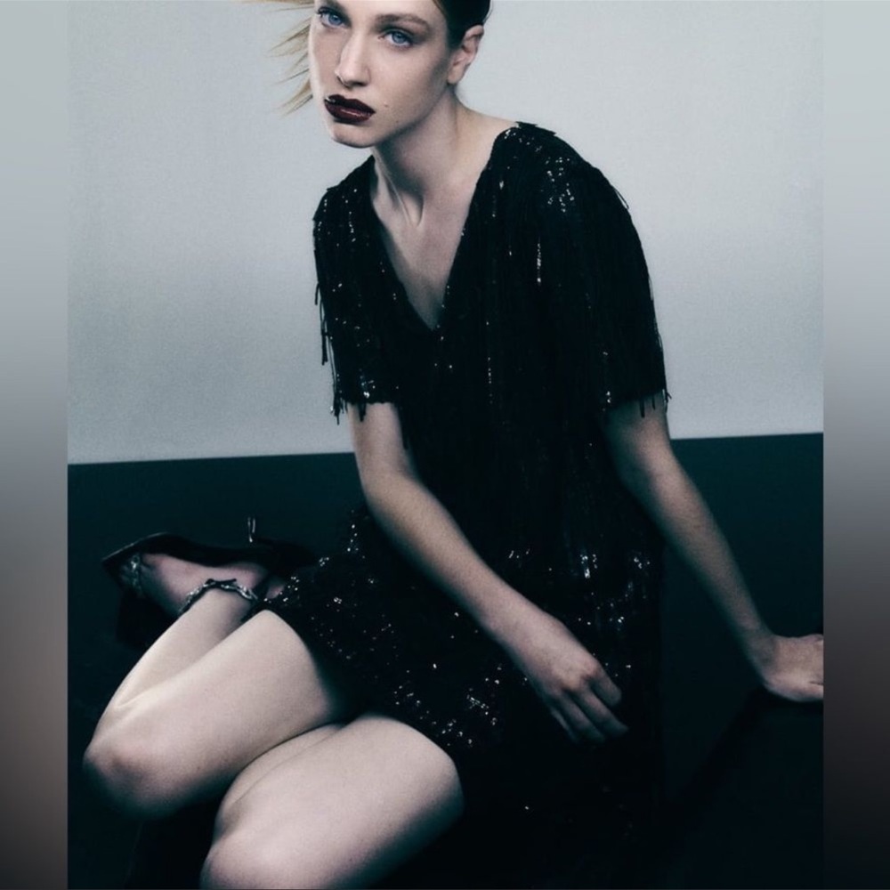 Zara Black Sequin Fringed Mini Dress
Short Sleeve Dress - Picture 1 of 11